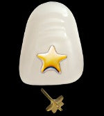 DENTURES: Star