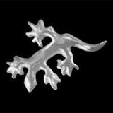 Gecko - iZi Tooth Jewellery