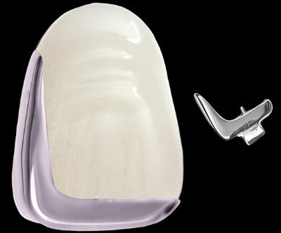 DENTURES: L-shape